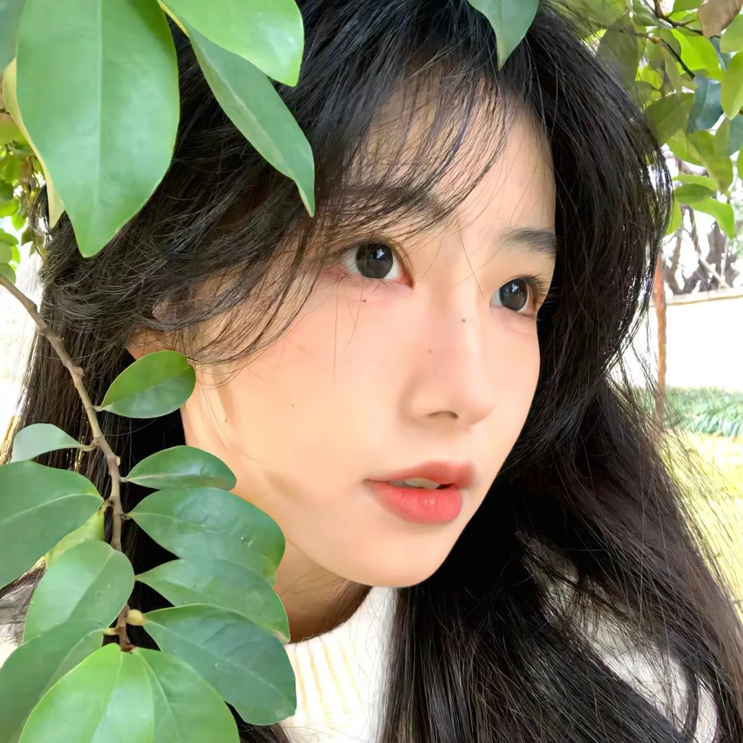 大坏狼